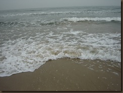 DSC00411