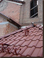 DSC09940